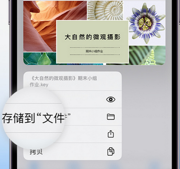 牟平apple维修中心分享iPhone文件应用中存储和找到下载文件