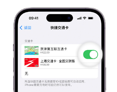 牟平apple维修点分享iPhone上更换Apple Pay快捷交通卡手绘卡面 