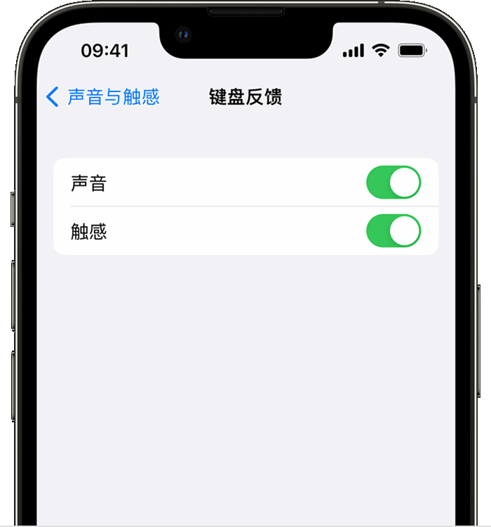 牟平苹果14维修店分享如何在 iPhone 14 机型中使用触感键盘 