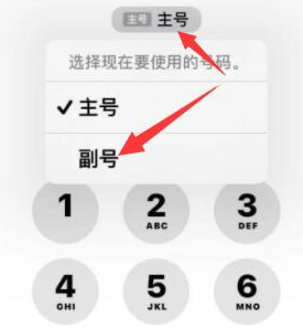 牟平苹果14维修店分享iPhone 14 Pro Max使用副卡打电话的方法 