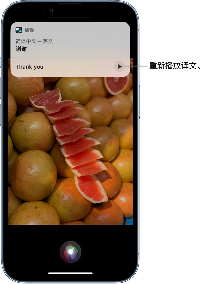 牟平苹果14维修分享 iPhone 14 机型中使用 Siri：了解 Siri 能帮你做什么 