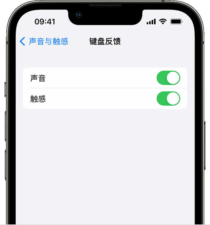牟平苹果14维修分享iPhone 14 系列机型如何开启键盘声音或触感反馈 