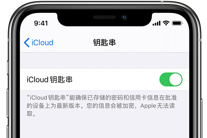 牟平苹果手机维修分享在 iPhone 上开启 iCloud 钥匙串之后会储存哪些信息 