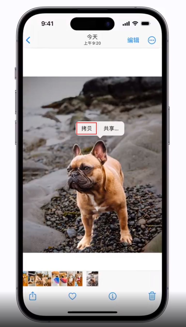 牟平苹果手机维修分享 iOS 16 自带一键抠图功能 