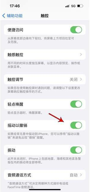 牟平苹果手机维修分享iPhone手机如何设置摇一摇删除文字 