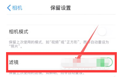 牟平苹果13维修分享iPhone13拍照有绿点是怎么回事 