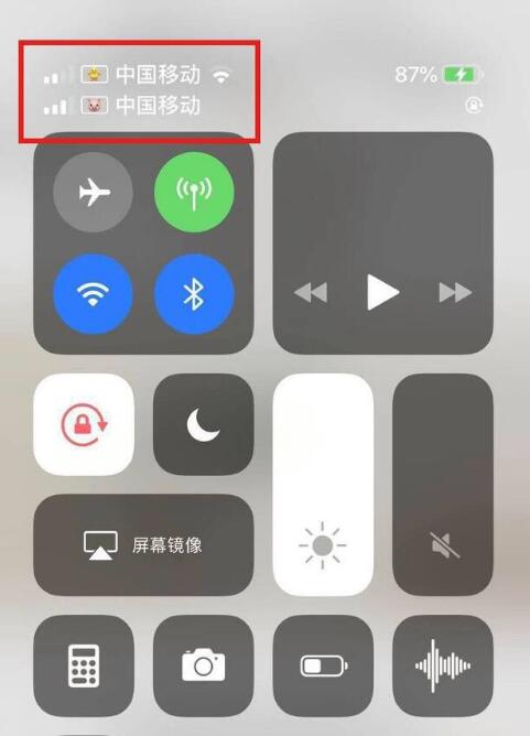 牟平苹果手机维修分享为 iPhone 12 双卡设置标签 